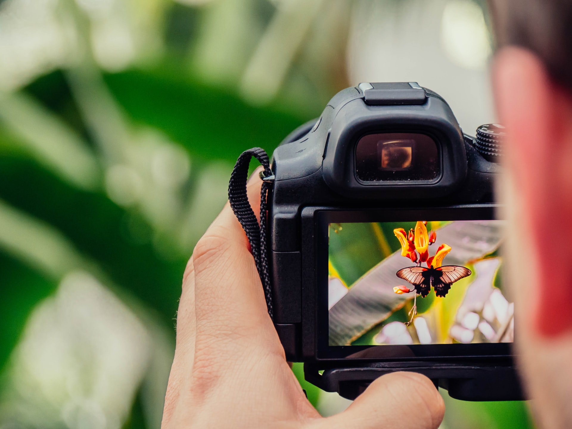 Nature photography hashtags for instagram