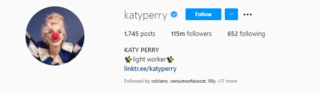 IG Profile Selfies-KatyPerry